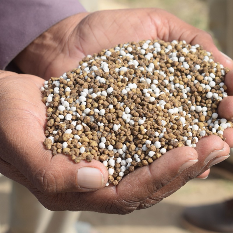 Mãos em concha a segurar fertilizante granulado antes da aplicação no campo