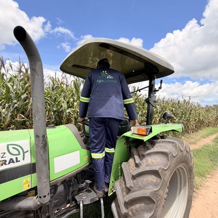 Trabalhador da Agro Lichimua a subir para o trator, junto ao campo de milho
